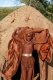 Tradičný dom Himbov