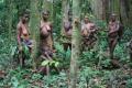 Pygmejské ženy na zbere dreva a plodov